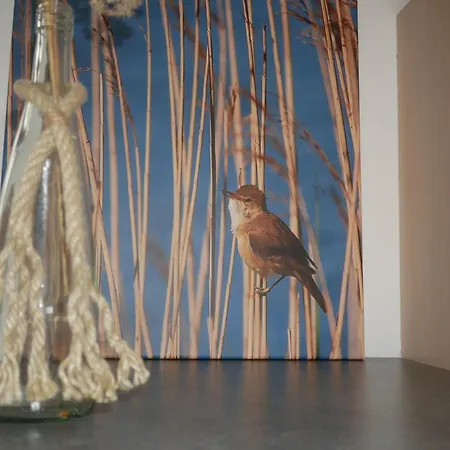 In Der Schleswiger Altstadt - Nest Daire